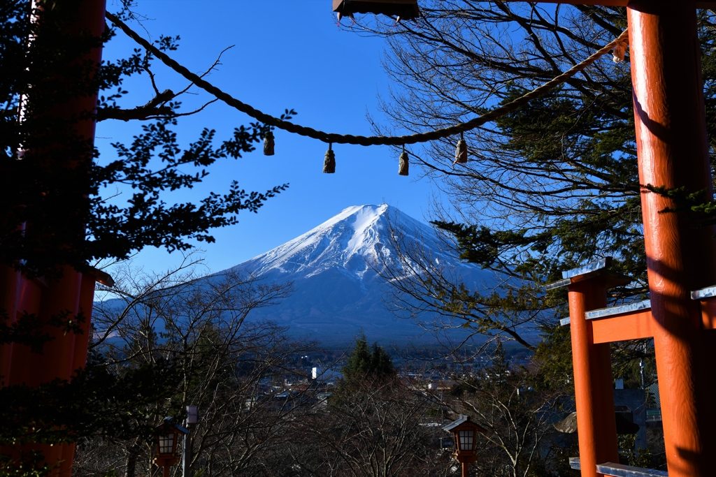 鳥居から