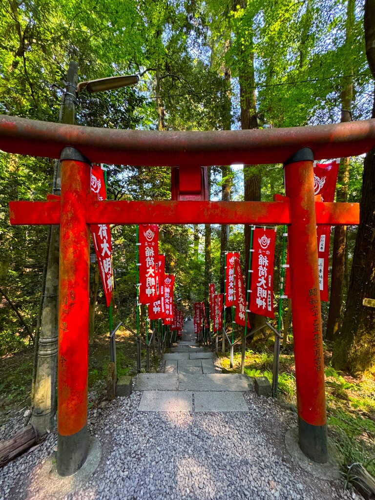 連なる
