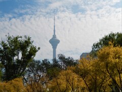 天津タワー