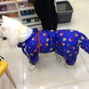 犬もレインコート♫♪