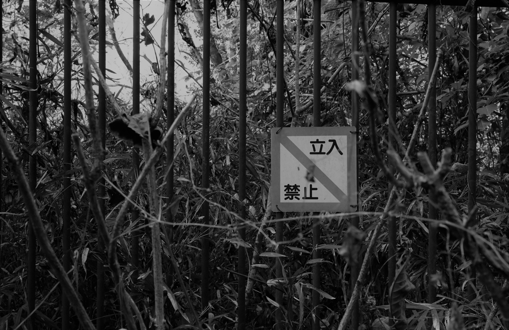 入らない