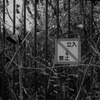 入らない