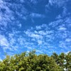 明けましておめでとうございます。