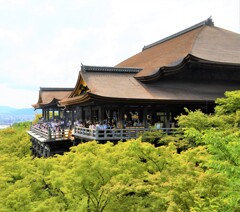 青葉と