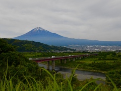 定番の