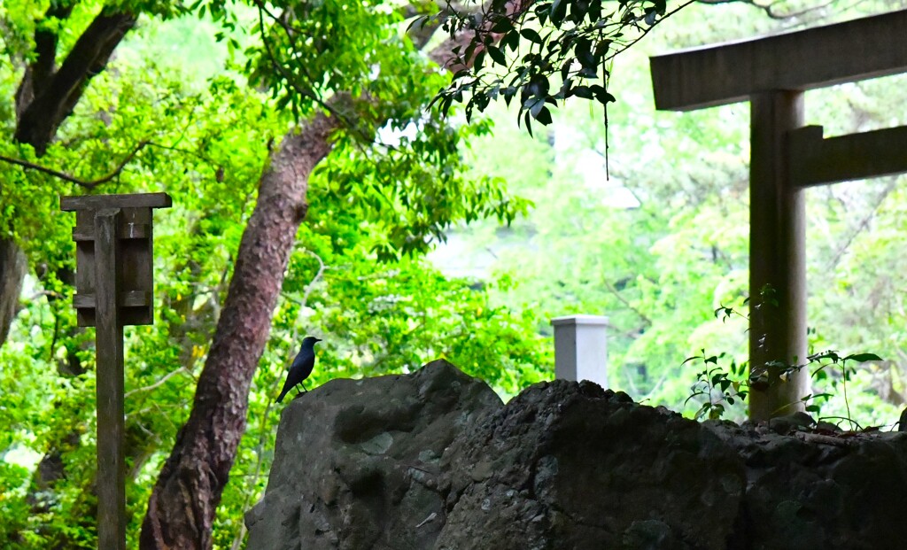 着地