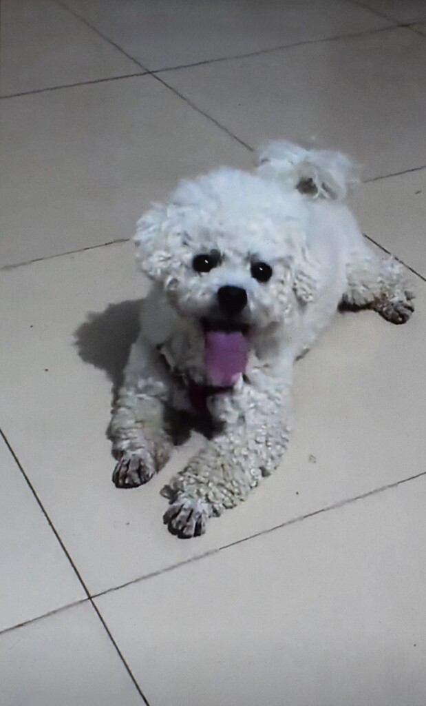 べろ長っ　＾＾