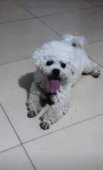 べろ長っ　＾＾