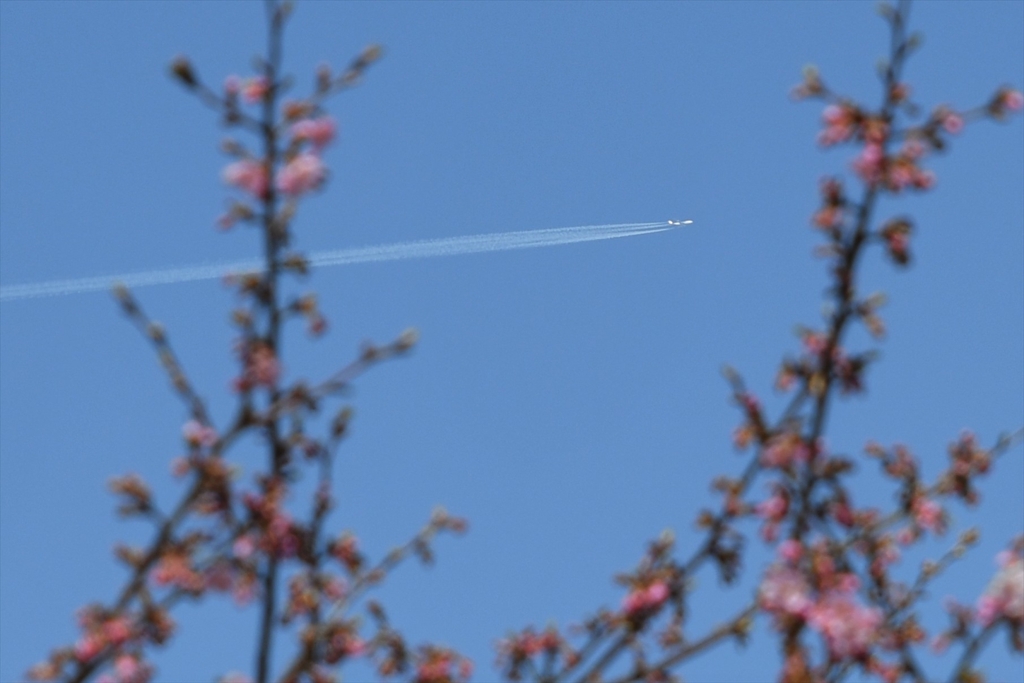 飛行機雲長ーく