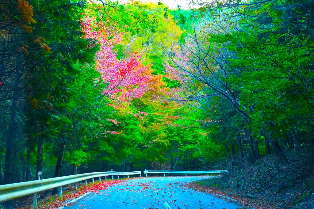 峠にて