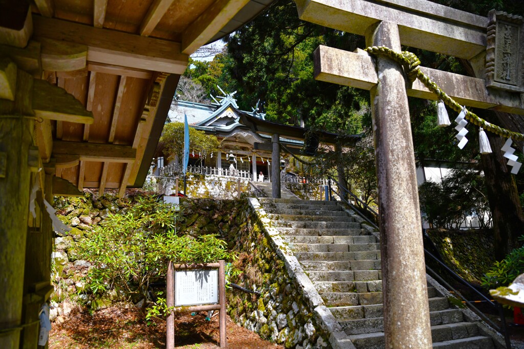 玉置神社