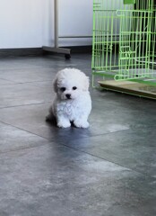 ポツンと ポツンと