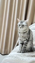 そこは・・・
