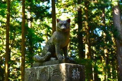 オオカミ様