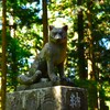 オオカミ様