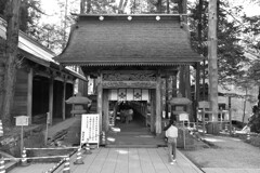 入口