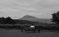 眺