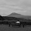 眺