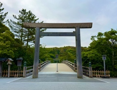 今年も