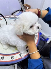 お手入れ中 お手入れ中