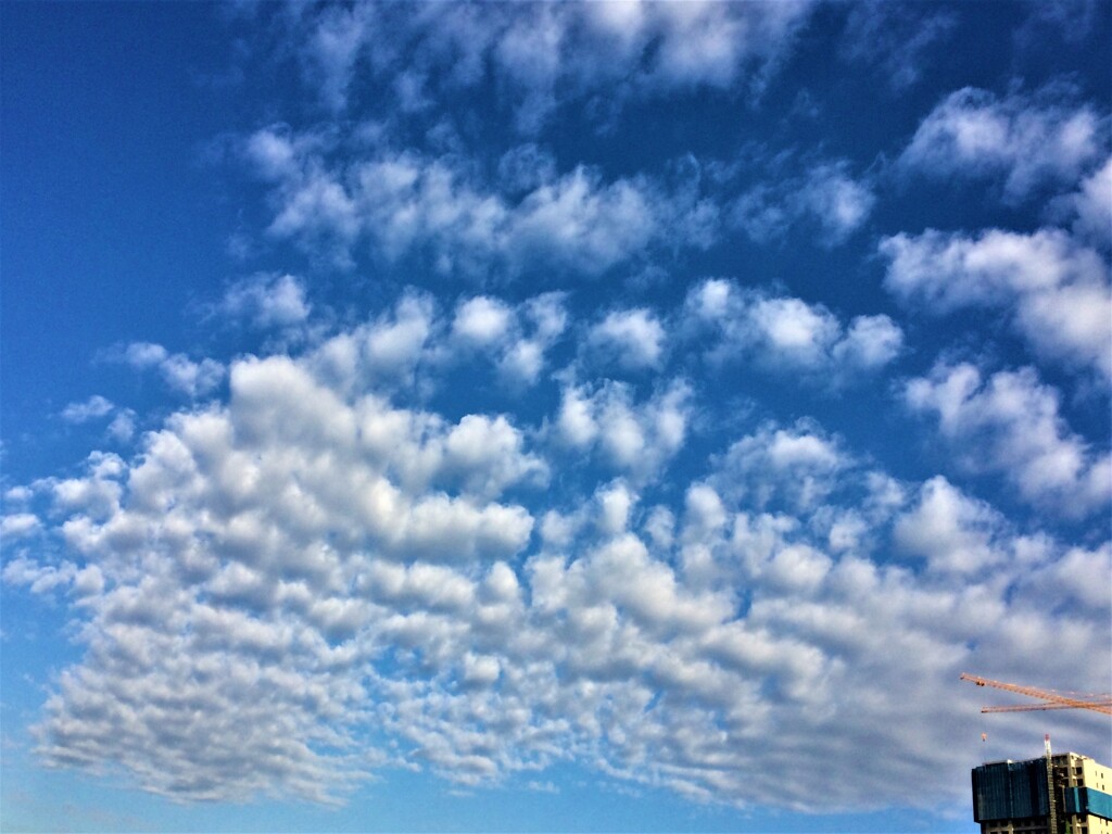 秋の雲