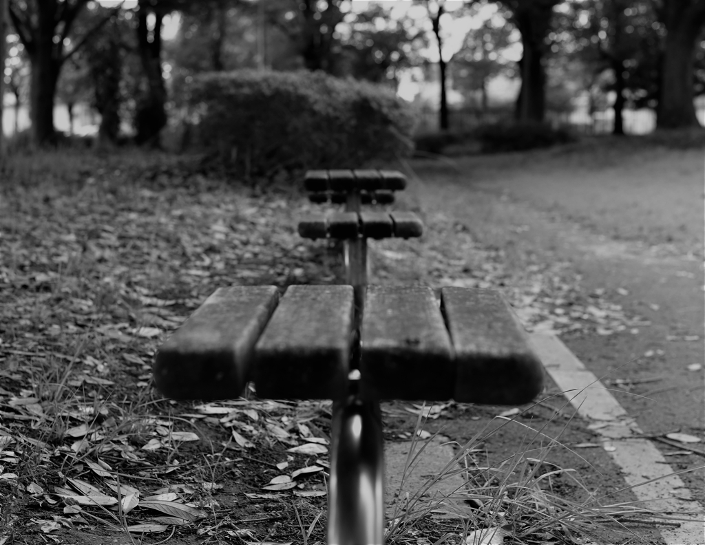 公園にて2