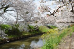 さりげなく