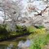 さりげなく