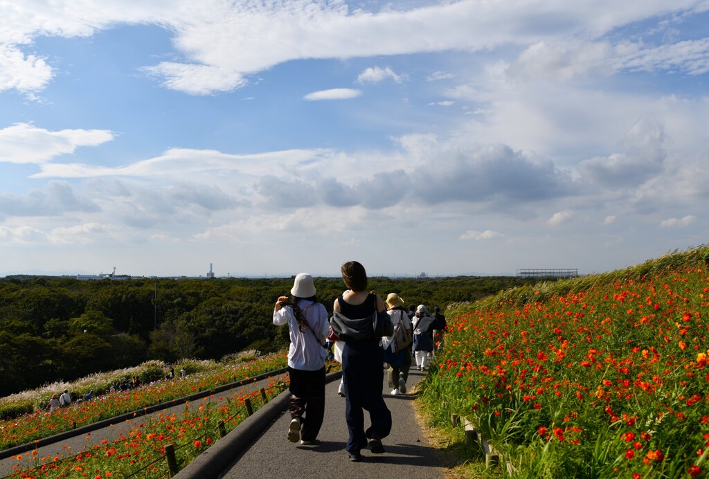 花々と