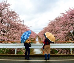 小雨の中