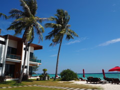 P1202313