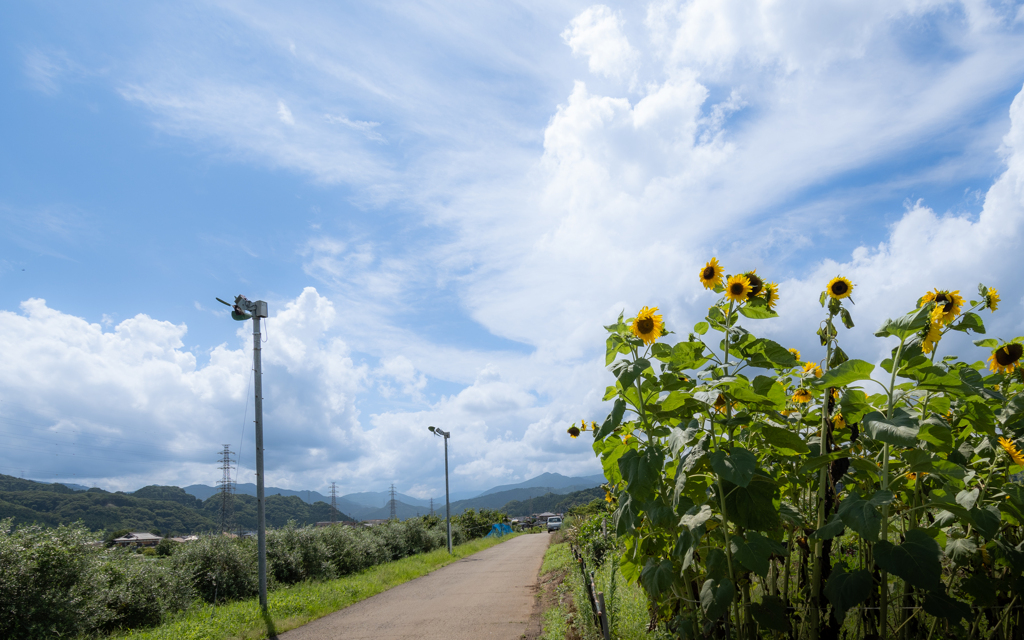 夏空②
