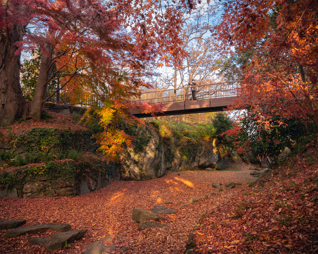 雀宮公園