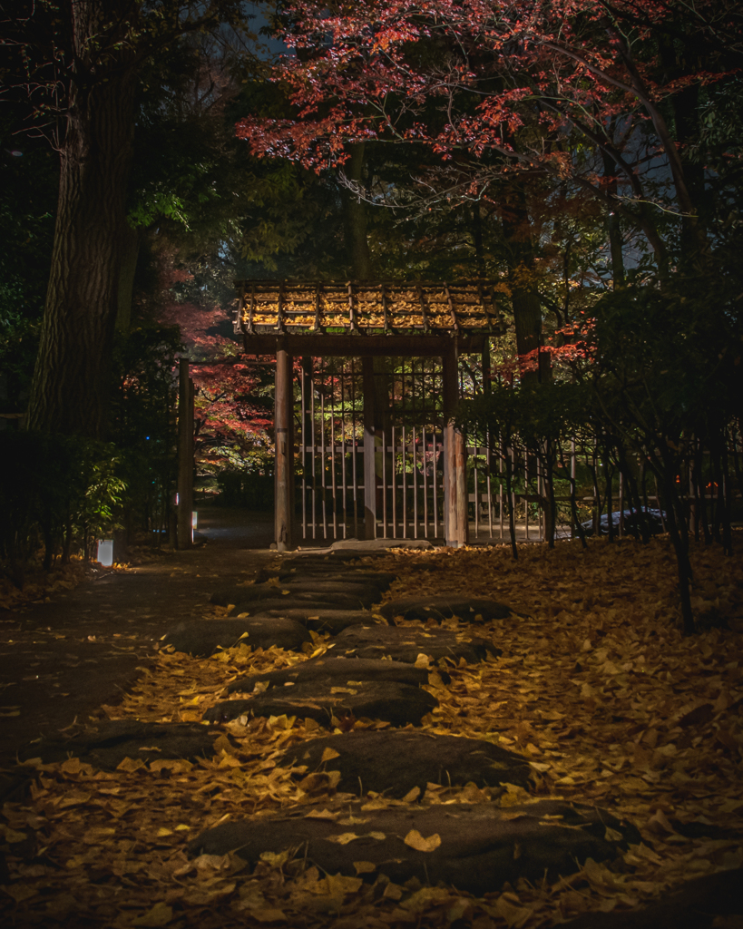 大田黒公園