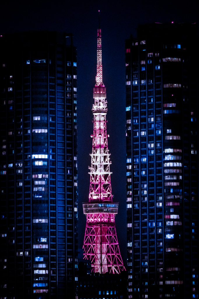 挟まれちゃっタワー