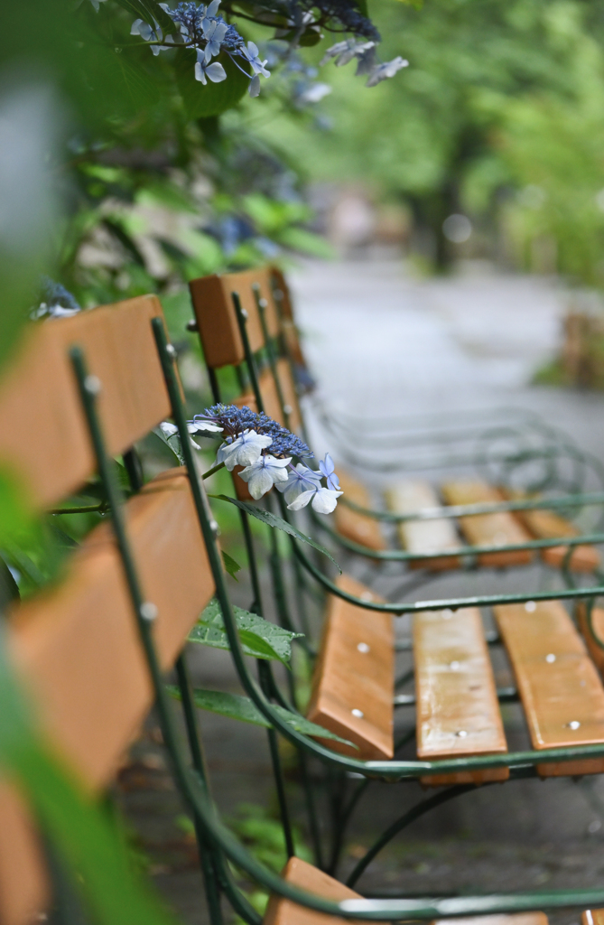 雨の日の午後は