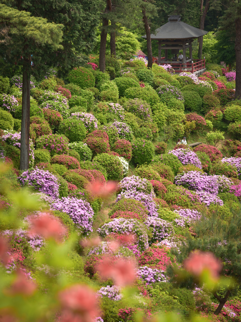 塩船観音寺①