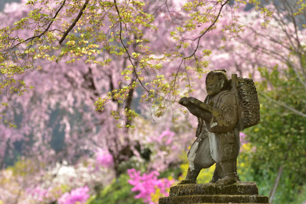 龍珠院②