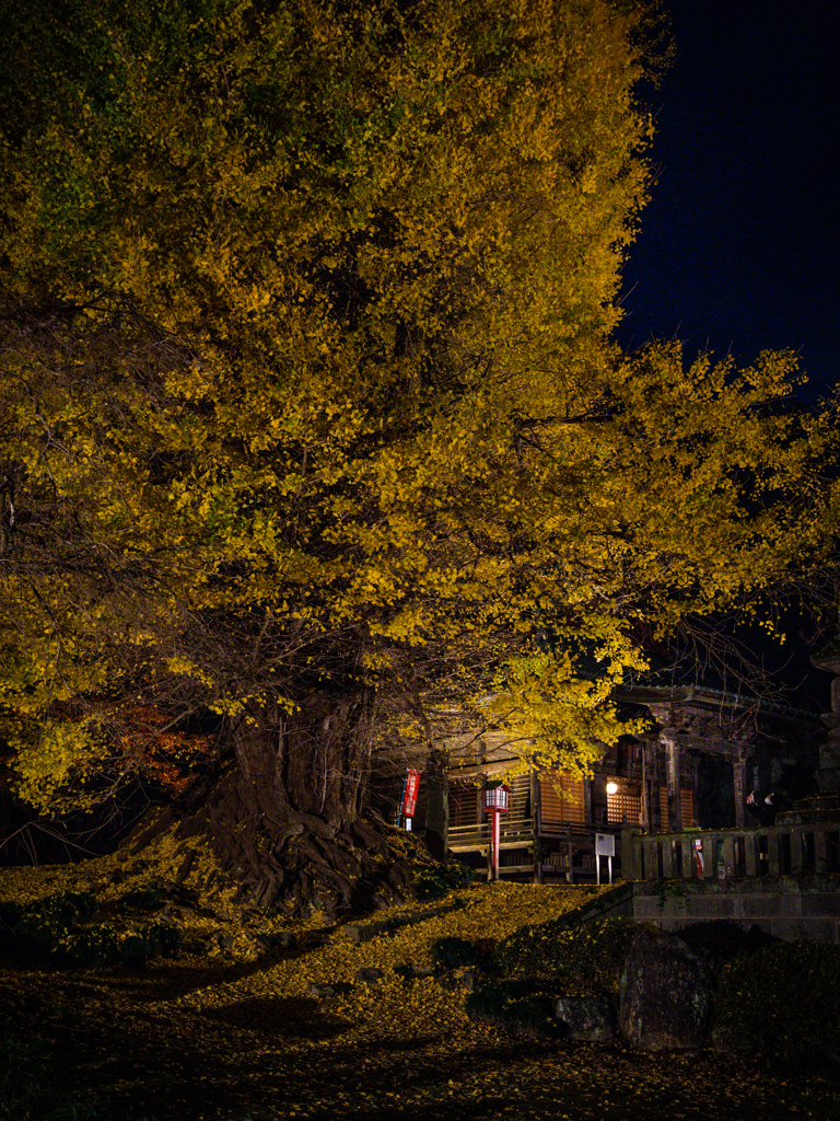 巌殿山正法寺