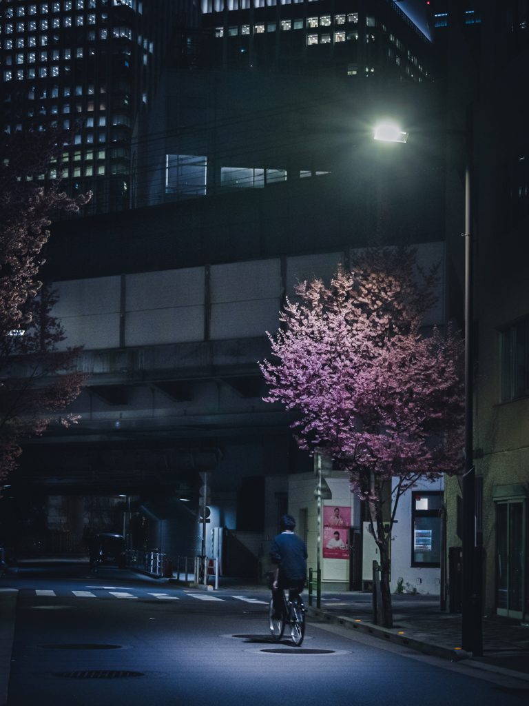 Sakura street③