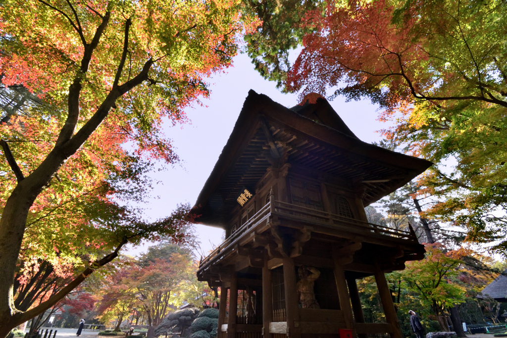 平林寺の紅葉