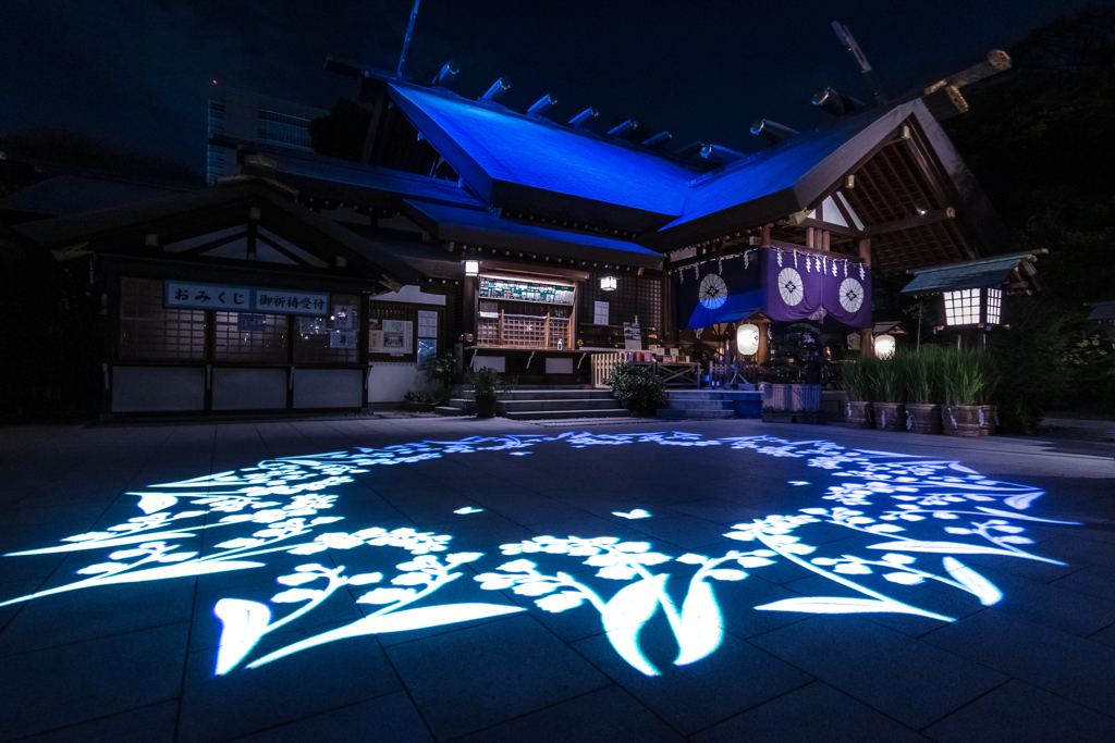 夏の夜に咲く