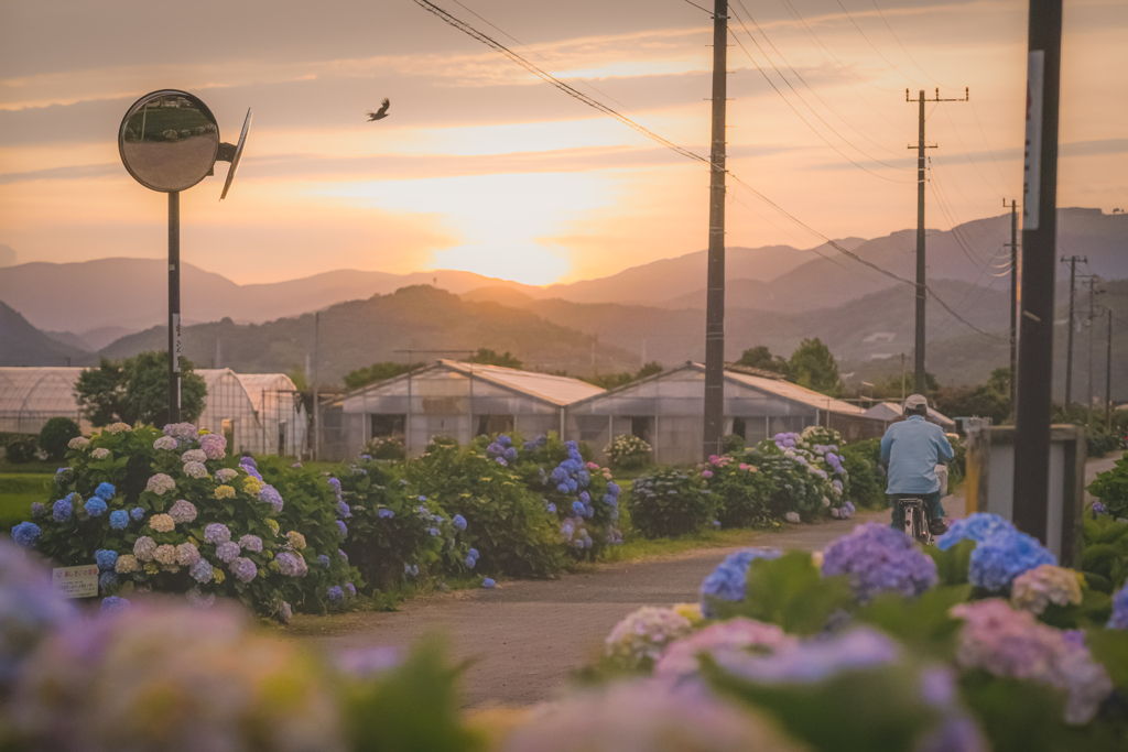 夕暮れの帰り道