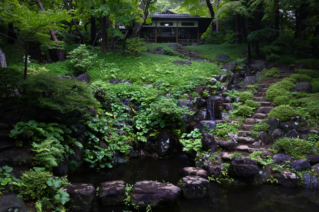 殿ヶ谷戸庭園