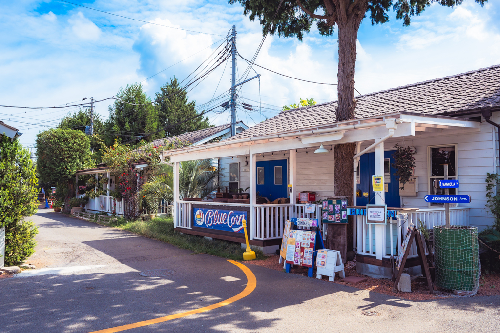JOHNSON TOWN②