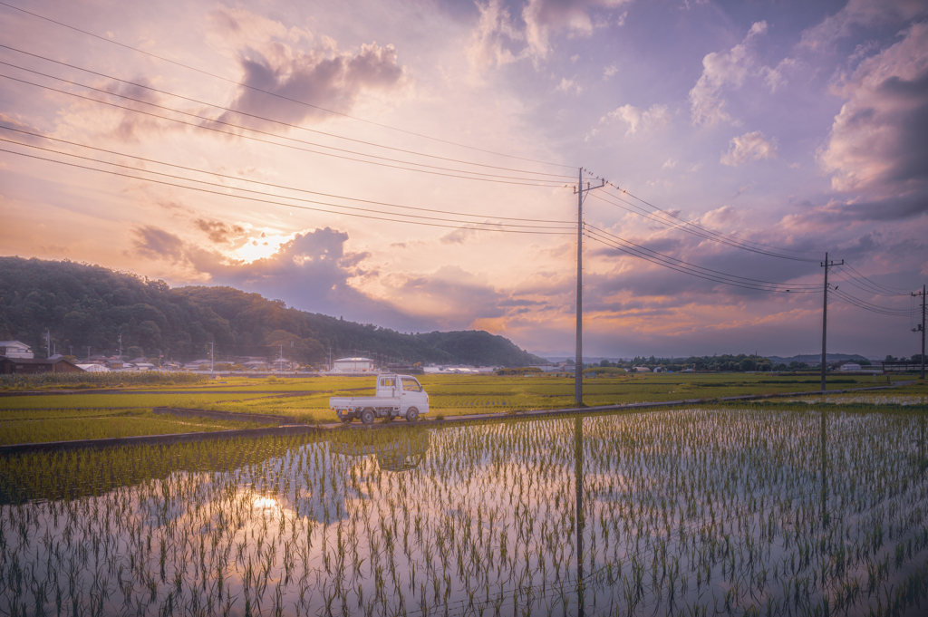 田園の夕暮れ