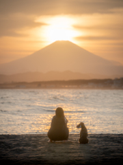 明日もいい日になりますように