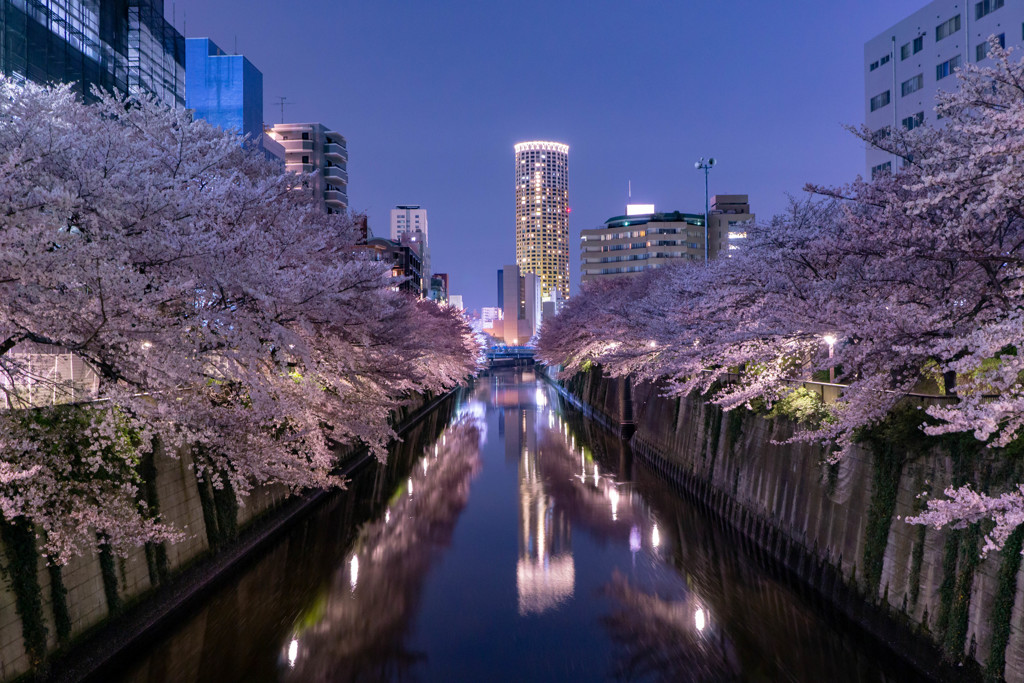 目黒川