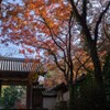 寺