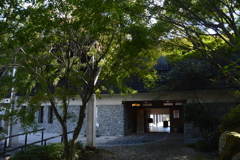 星野村の秋